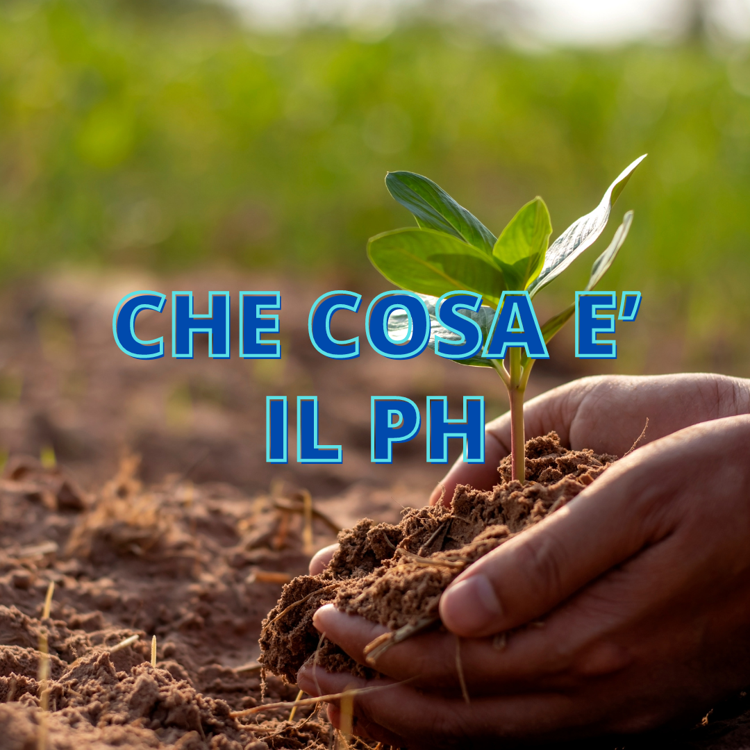 Che Cosa è il pH