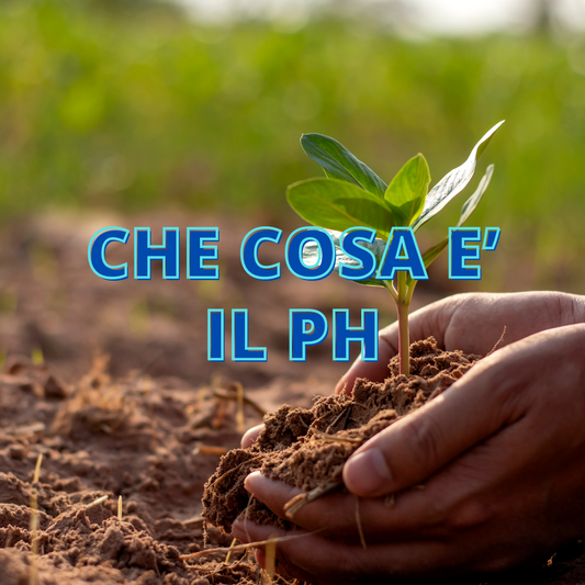 Che Cosa è il pH