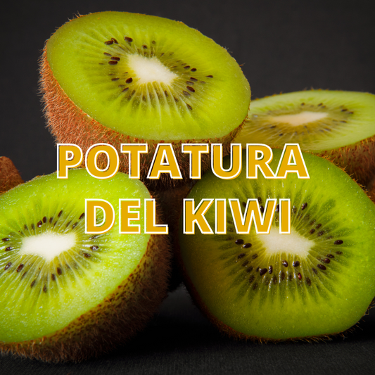 Potatura del Kiwi