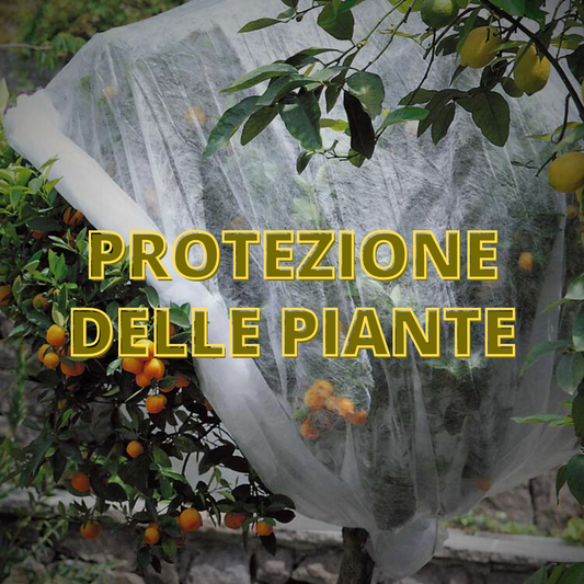 Protezione delle Piante