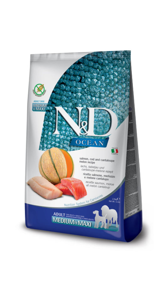 N&d Ocean Cane | salmone, merluzzo e melone cantalupo