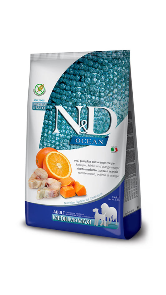 Nd Ocean Cane | merluzzo, zucca e arancia