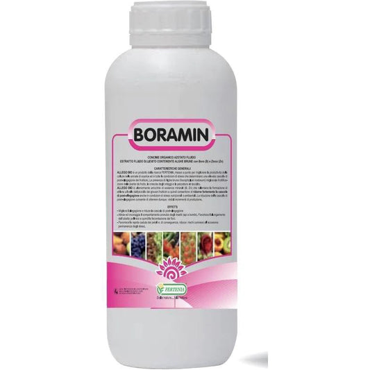 BORAMIN