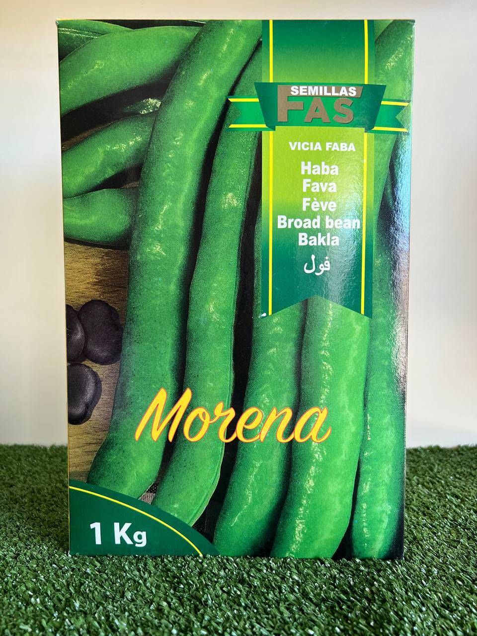 FAVA MORENA