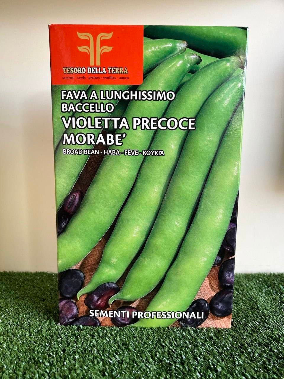 fava precoce