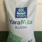 Yaramila Blustar 12 12 17