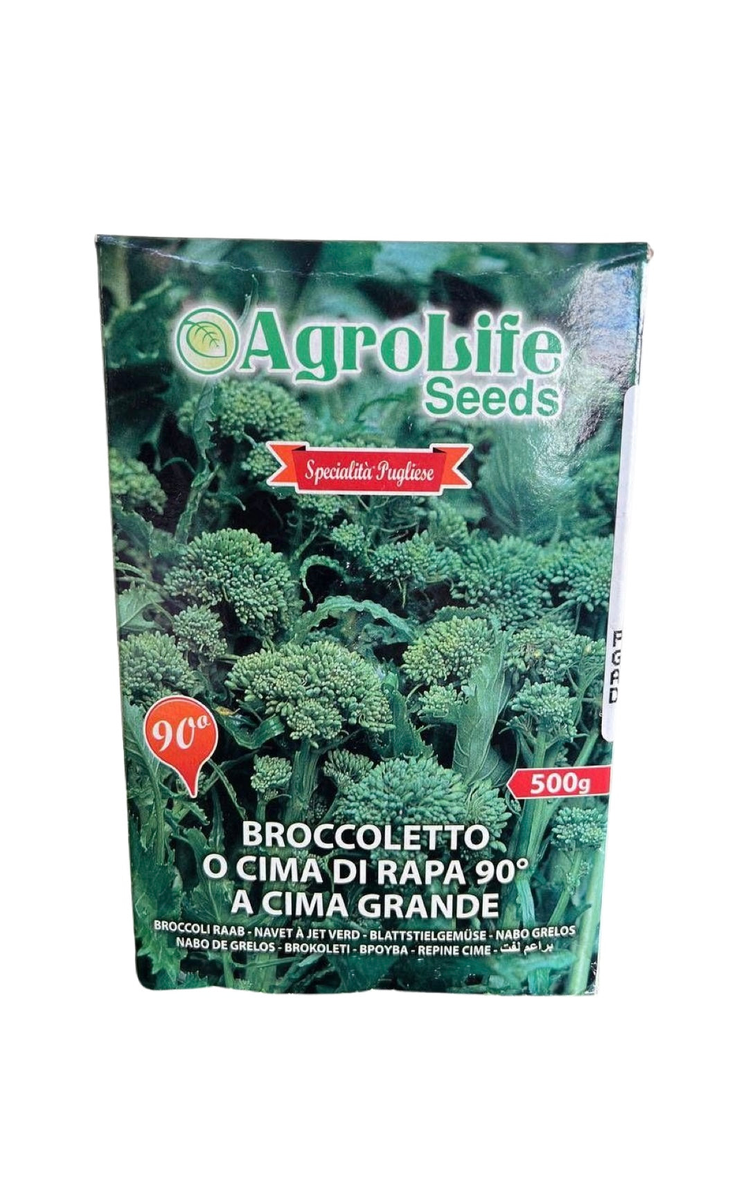 BROCCOLETTO O CIMA DI RAPA 90° A CIMA GRANDE