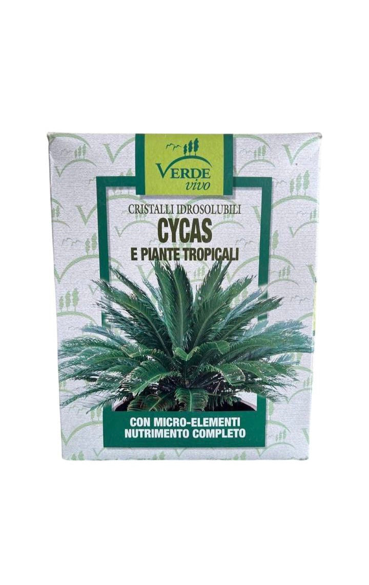 VERDE VIVO CYCAS