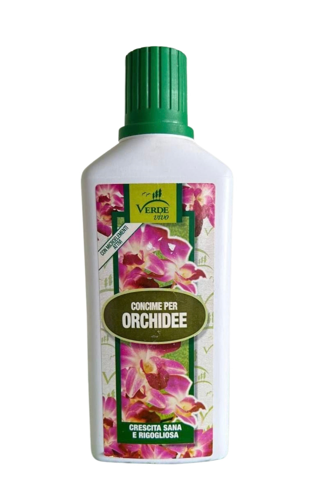 VERDE VIVO ORCHIDEE