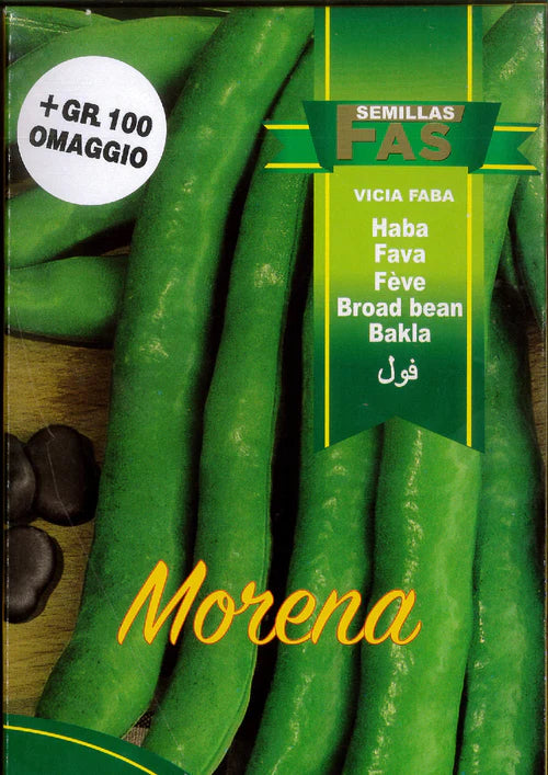 FAVA MORENA