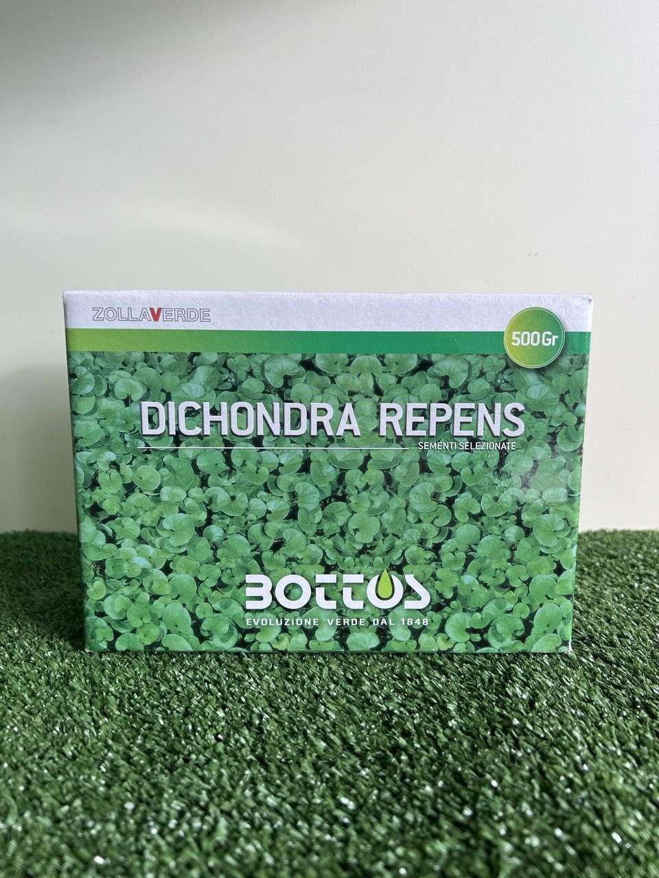 Dichondra Repens Bottos